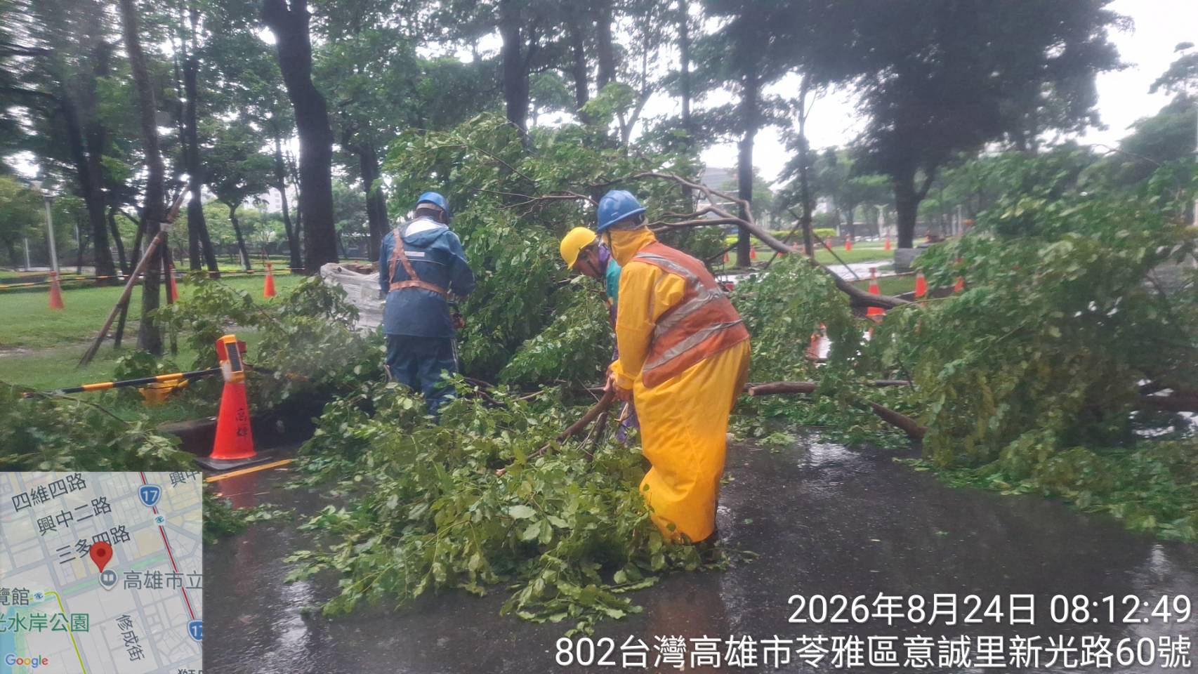 豪雨造成路樹倒塌及斷枝 公園處即時動員全力搶災　加速道路復原