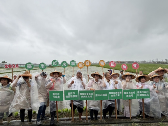 臺南好米季插秧活動開跑 