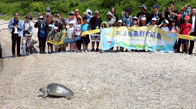 串聯118救援鏈 海龜重返大海！後灣野放見證MARN跨域救援成果