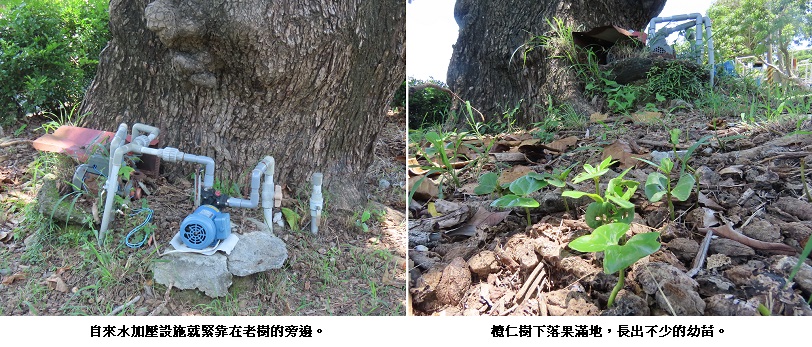 news_photo_2