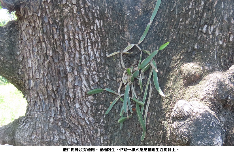 news_photo_3