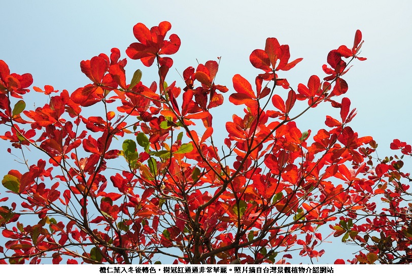 news_photo_4