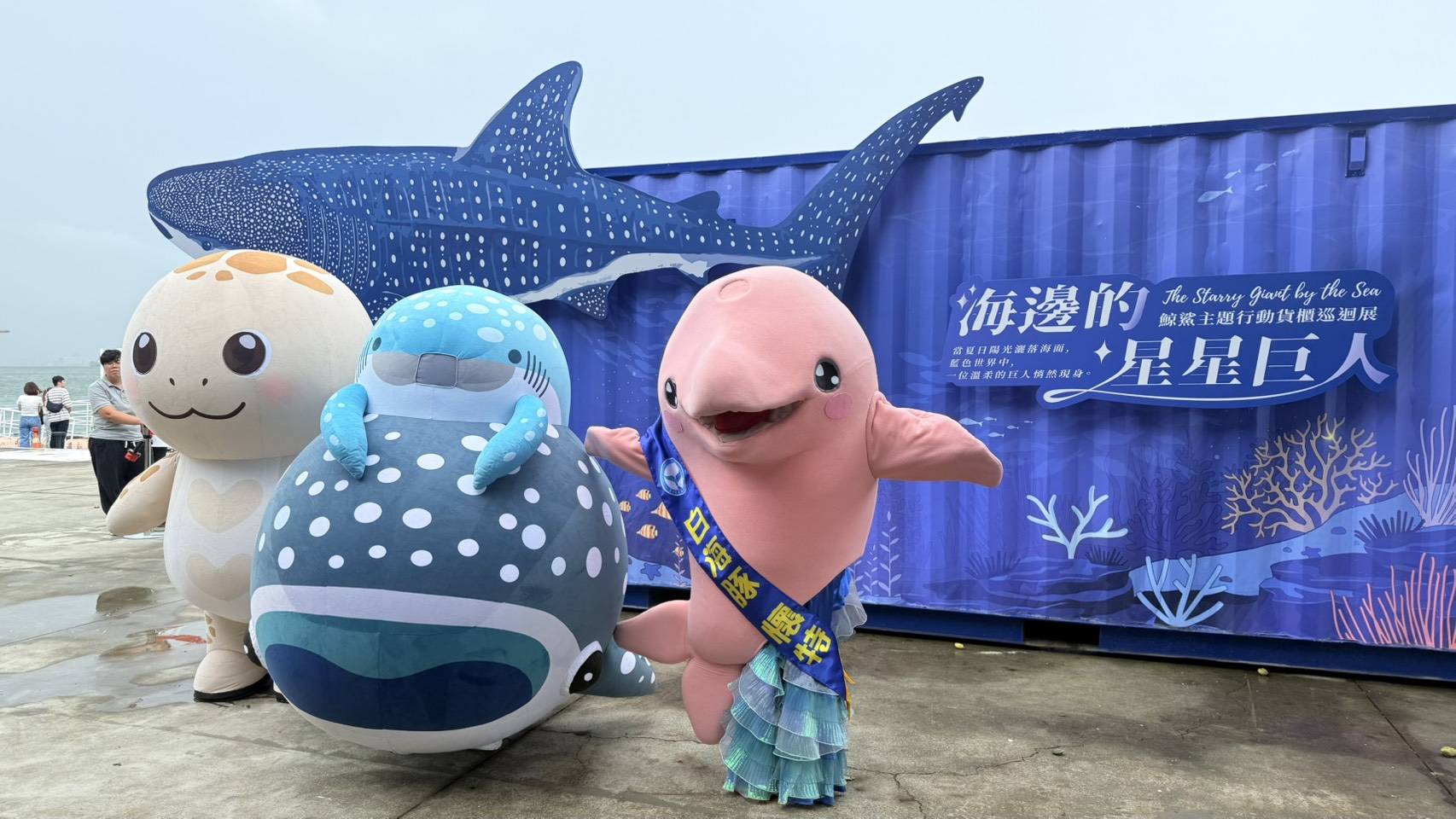 世界鯨鯊日「星星巨人」游進高雄 海保署行動貨櫃展帶民眾認識鯨鯊、學會友善守護