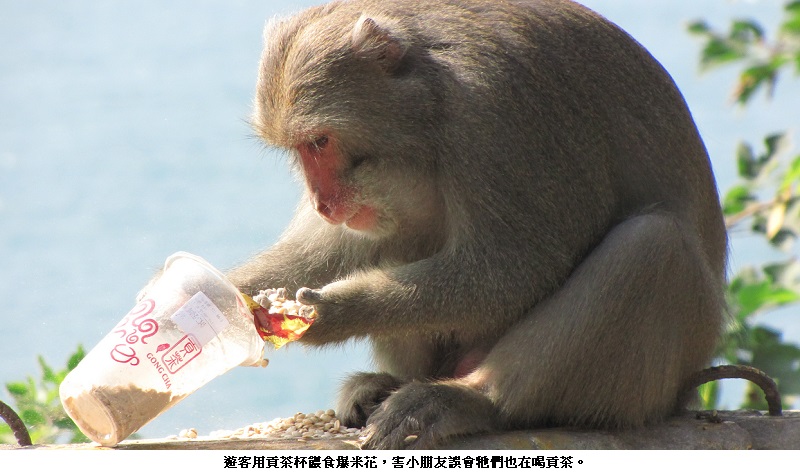 news_photo_4