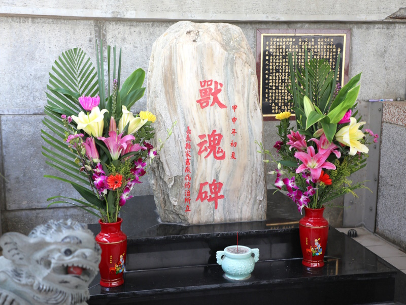 news photo