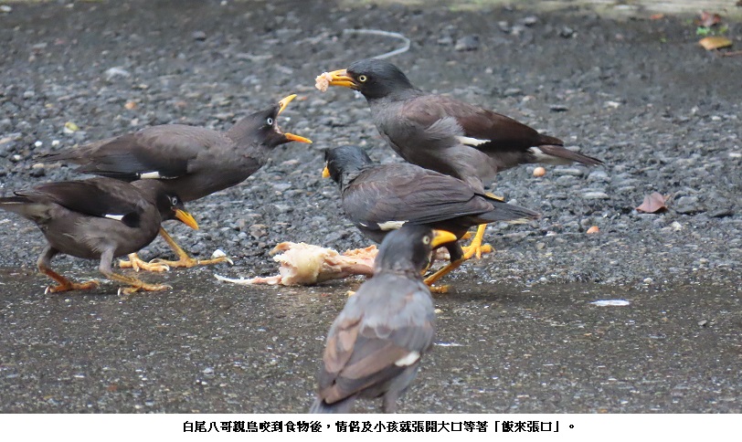 news photo