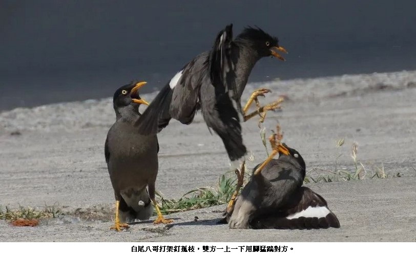news photo
