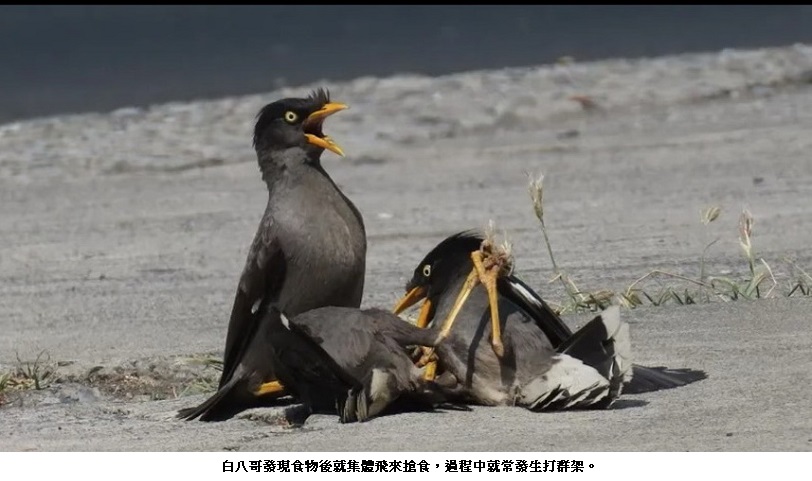news photo