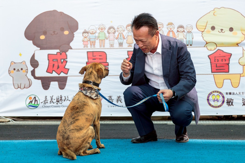 浪浪成為夥伴不再流浪 嘉義縣獨創「浪浪就業服務站」