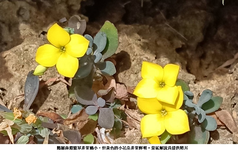 news_photo_1