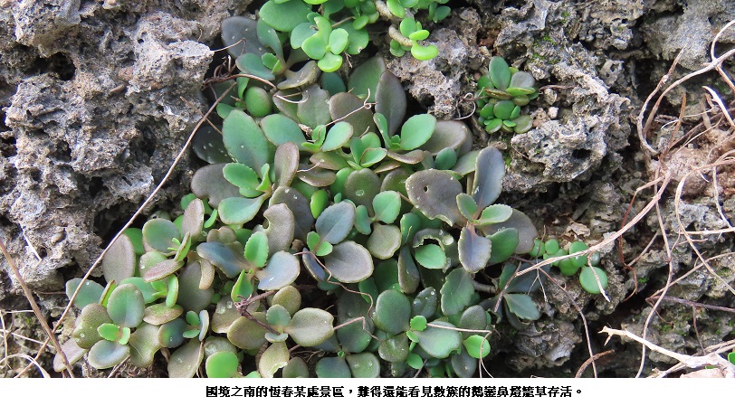 news_photo_2