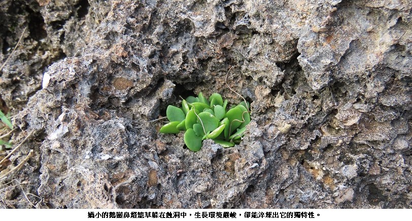news_photo_3