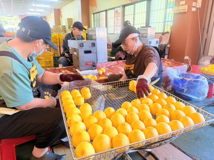 news photo
