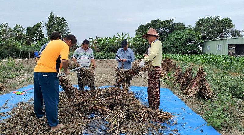 從農田到鍵盤  百歲「芝麻達人」柯金吉精神不滅