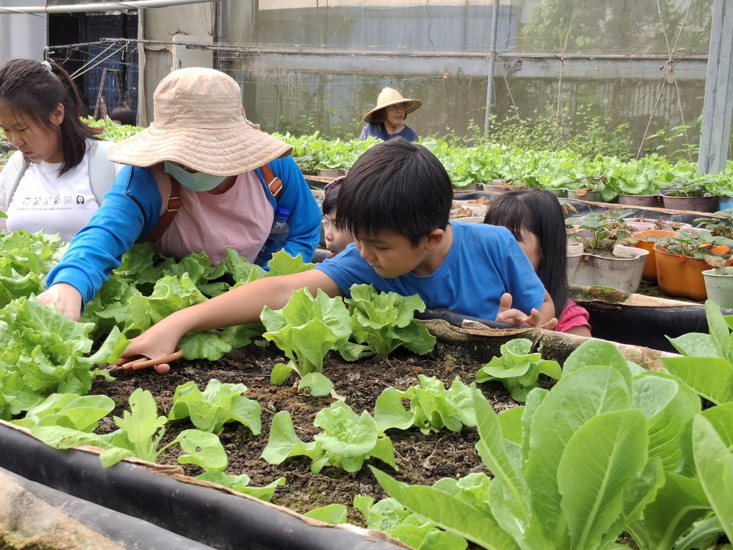 唱歌唱到農場去！ 小港戶所帶新住民解鎖高雄生活新玩法