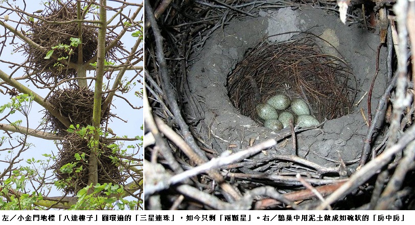 news photo