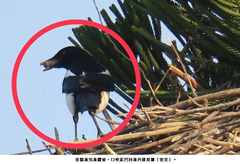 news photo