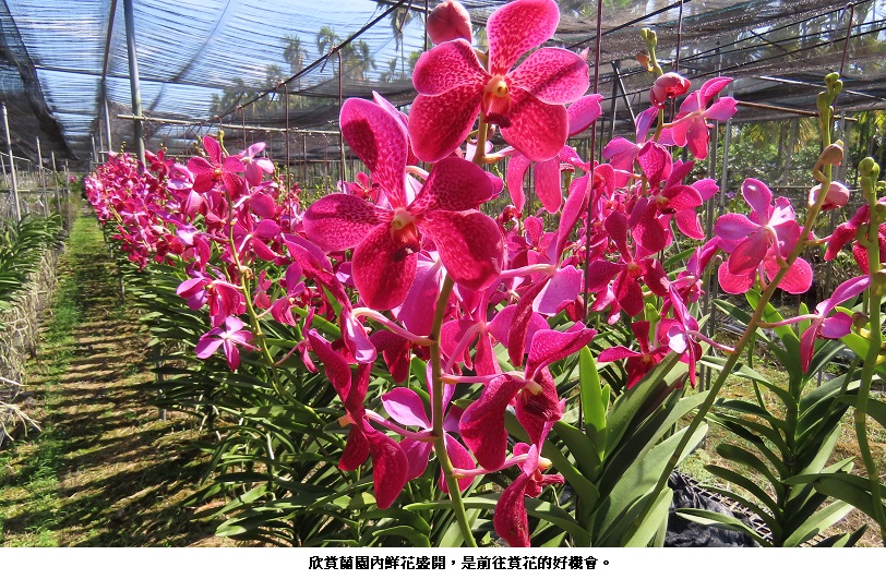 news_photo_1