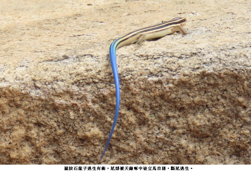 news photo