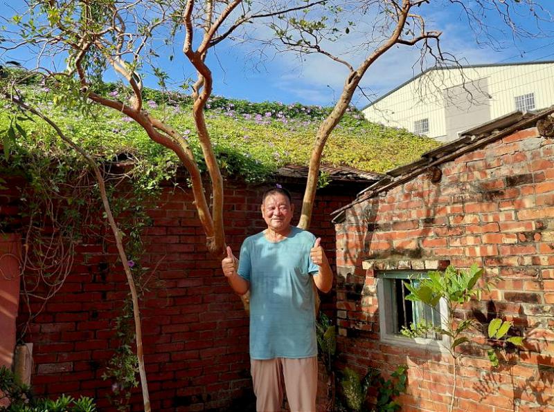 植物真奇妙  長在榕樹上的芭樂「榕仔拔」