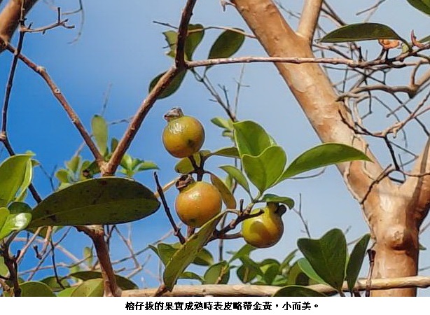 news_photo_1