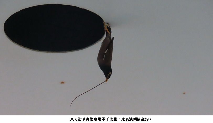 news_photo_3