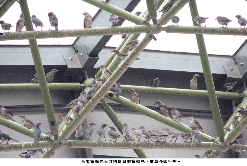 news_photo_4