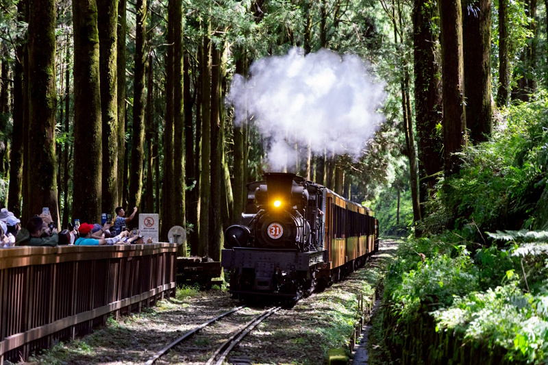 展開夏日鐵道冒險 暑假限定開跑 嘉義阿里山蒸汽火車遊程
