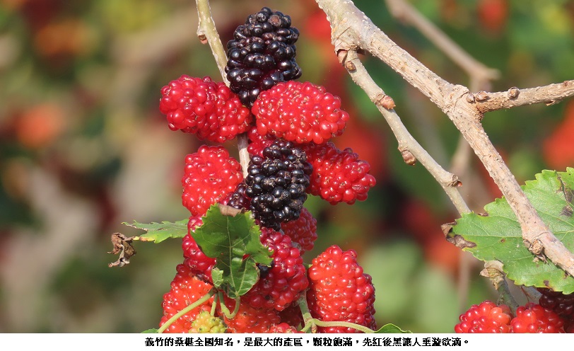 news_photo_1