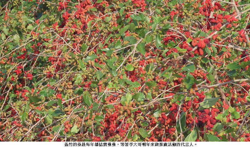 news_photo_2