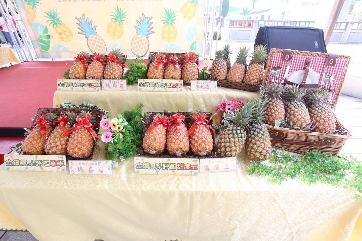 113年屏東縣優質金鑽鳳梨評鑑 前三名及甜度王出爐