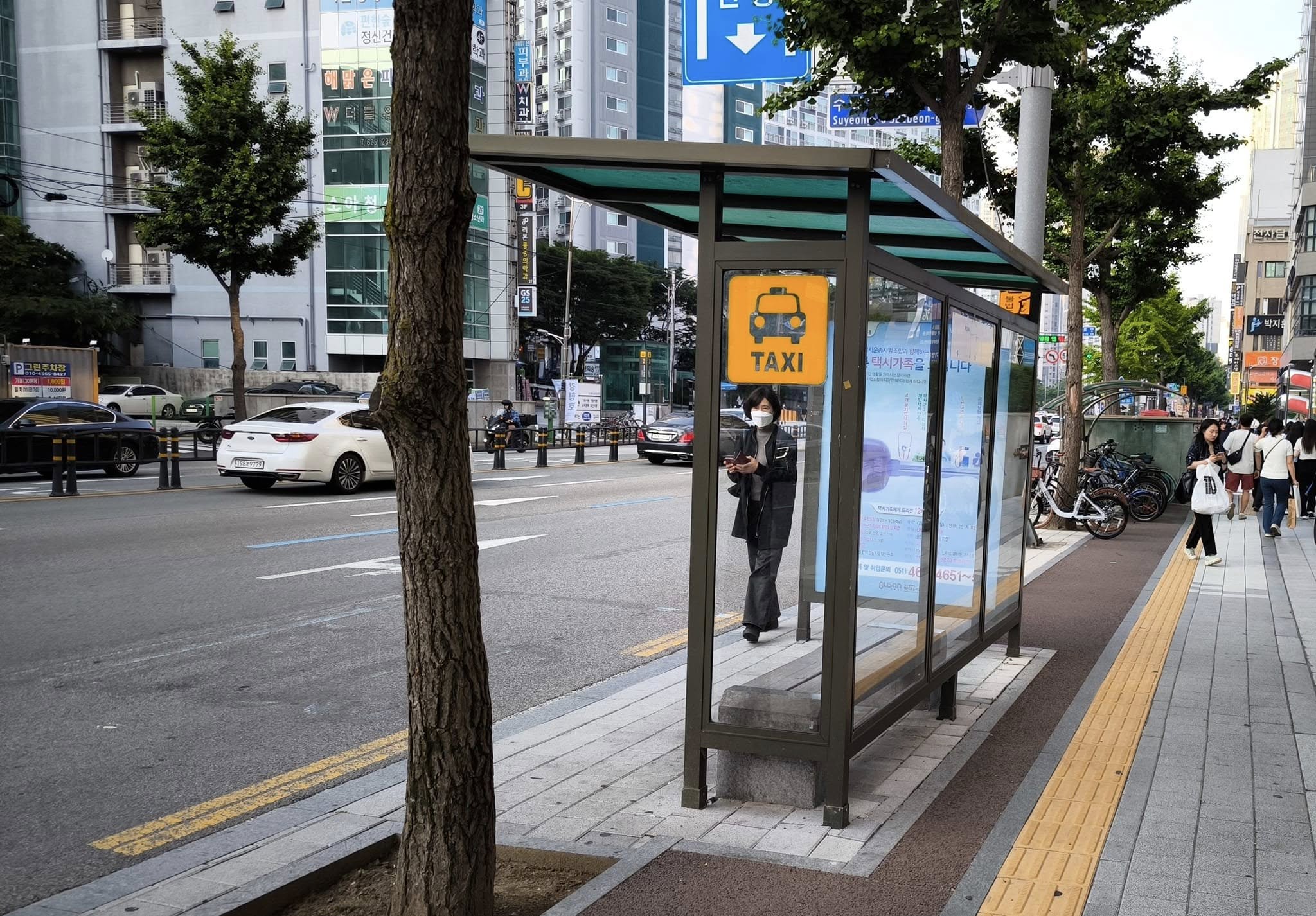 打造高雄「涼感城市」，林于凱提出公園、人行道、候車亭優先