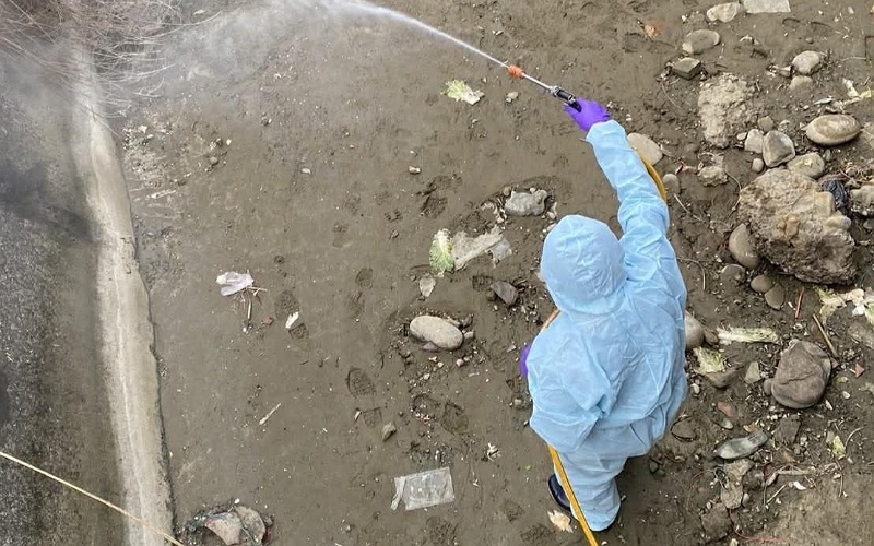 苗栗後龍棄置雞屍確診H5N1高病原性禽流感　    縣長鍾東錦指示嚴查重罰最高100萬元