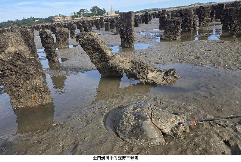 news_photo_1
