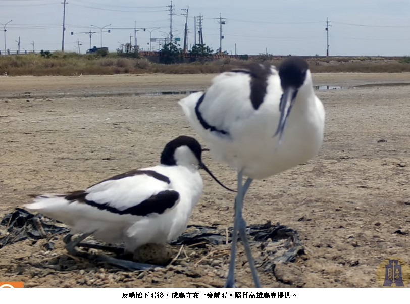 news_photo_2