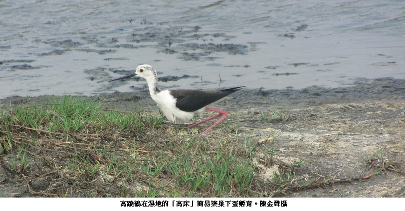 news_photo_3