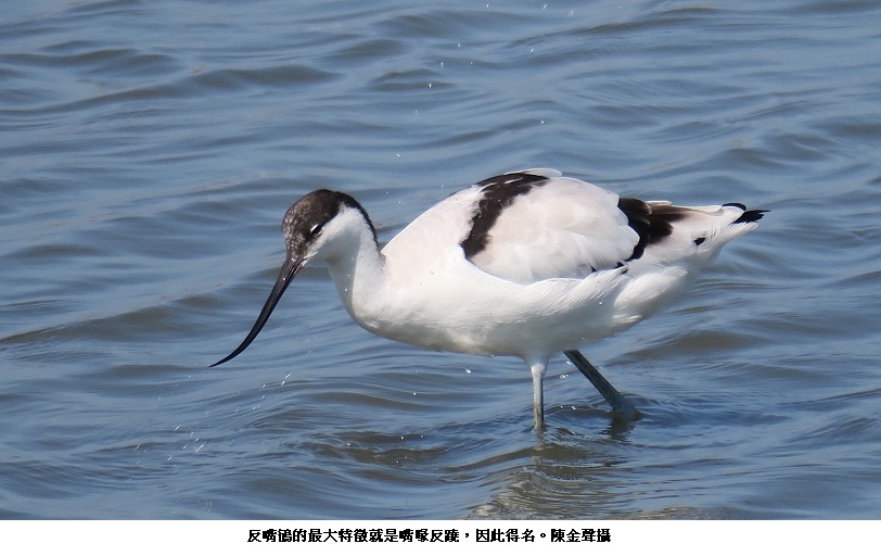 news_photo_4