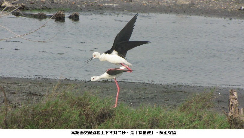 news_photo_5