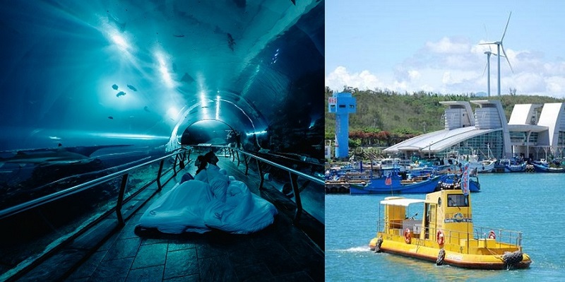 今夏與海龜不期而遇！屏東海生館夜宿「觀珊望海」啟航 登上半潛艇、潛入絢爛珊瑚礁