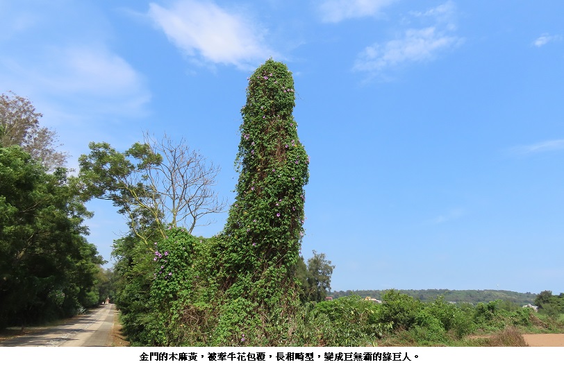 news photo