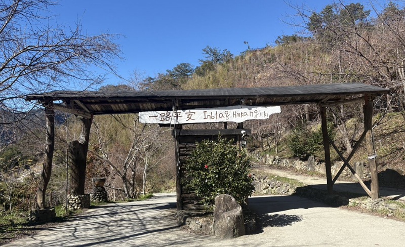 司馬庫斯櫻花季實施交通總量管制          1月19日起開放申請通行證