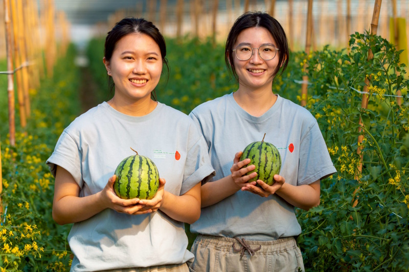 2026開年最具話題性的光影力作「嘉義・乘光而行」點閱破百萬