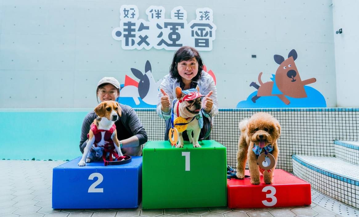 「泳汪直前游泳賽」輕量級12汪星人競逐   法鬥犬Bunny（邦尼）奪冠