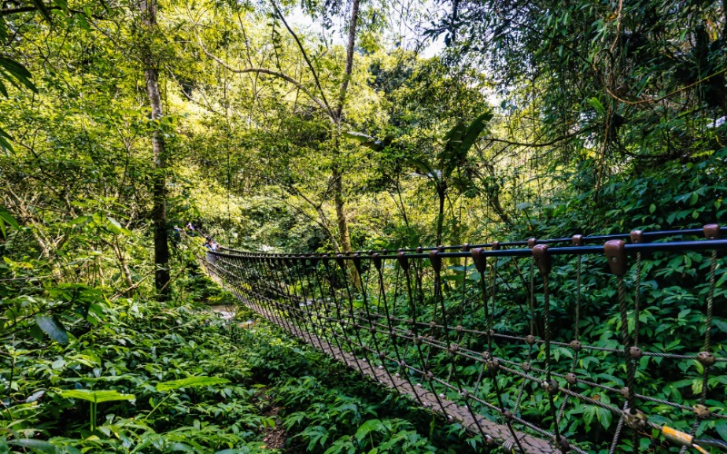 馬年走春踏青去　   楊文科推薦新竹縣3條「馬」字步道迎好運