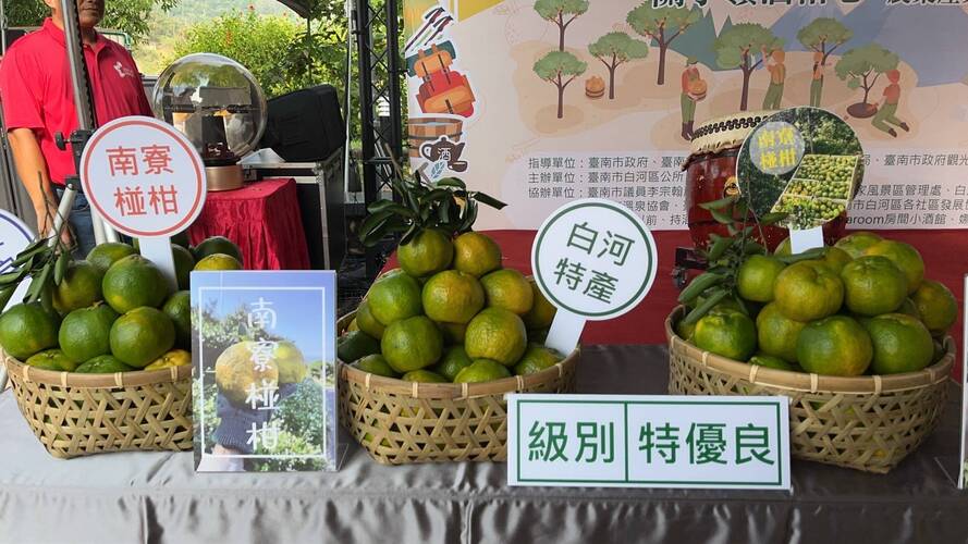 台南白河椪柑節登場