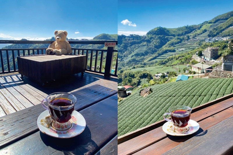 嘉義石棹茶旅兩日遊正夯 雲霧步道遇見夜櫻浪漫