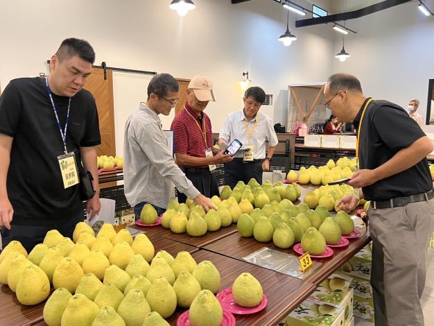 臺南文旦大賽揭曉甜度最高15度