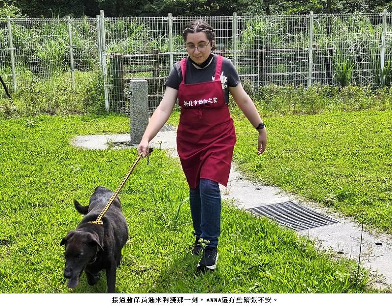 建築美學與動物關懷的溫馨交會   美女大學生訪瑞芳動物之家志工初體驗