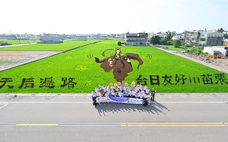 台日觀光高峰論壇登場 「台日友好in苗栗」彩繪稻田迎賓
