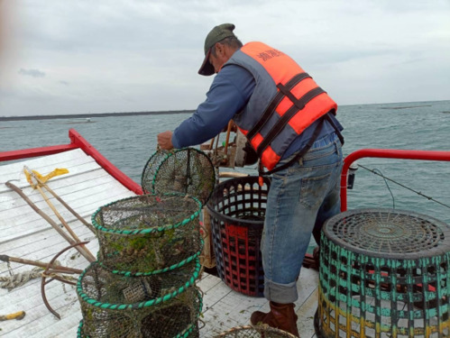 台南海域連假取締非法漁具